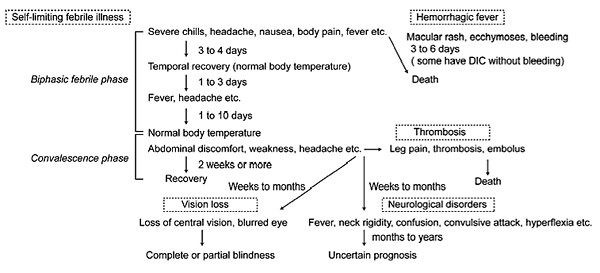 Image of Rift Valley Fever