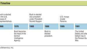 Image of Timeline Of Treason: The Bush Family Connections To The Nazis