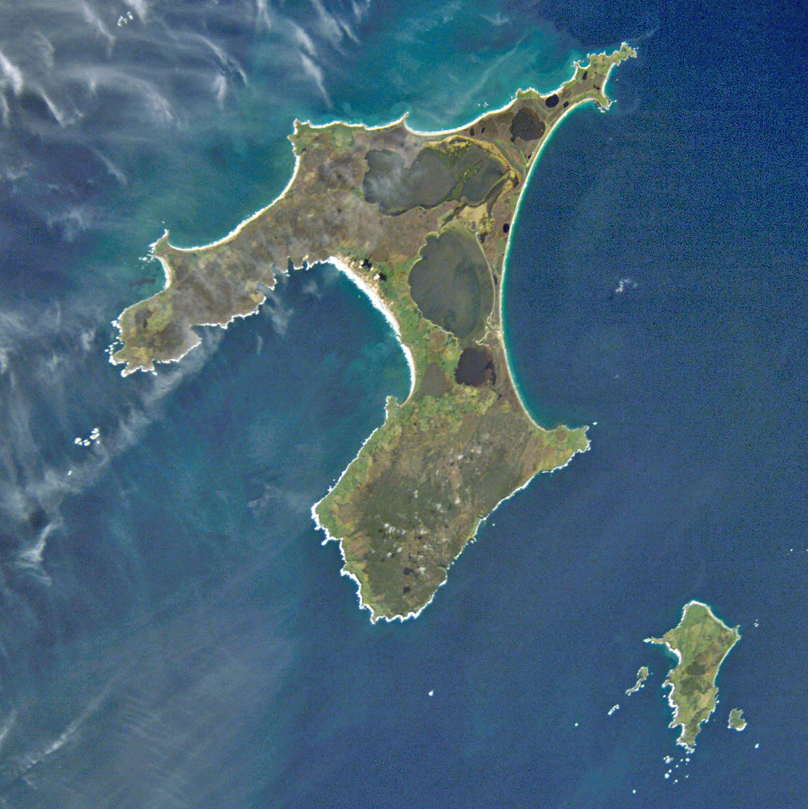 Image of Biodiversity On The Chatham Islands Of New Zealand - By Bruce Marcot