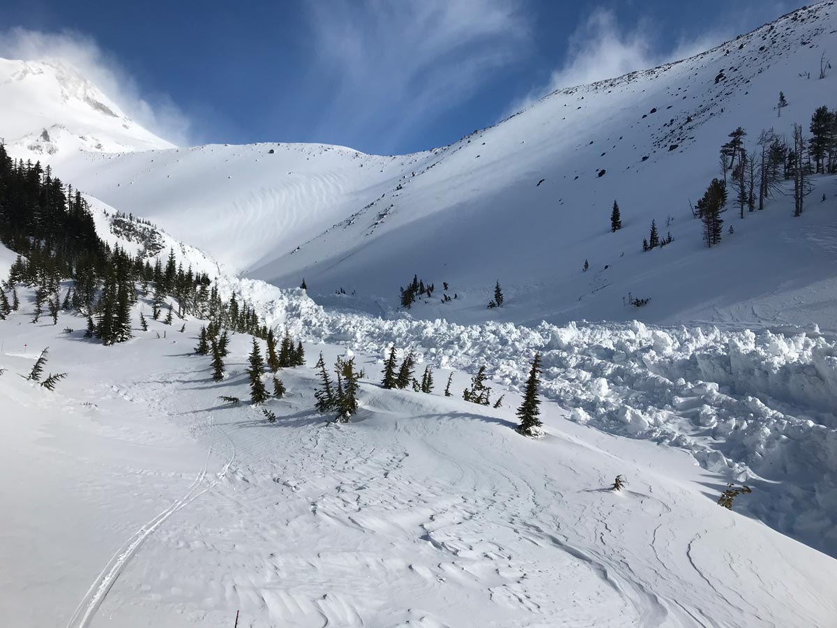 Image of Mt. Hood Heather Canyon Opening