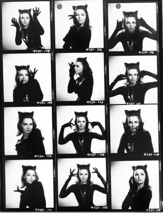 Image of Catsyear - Julie Newmar