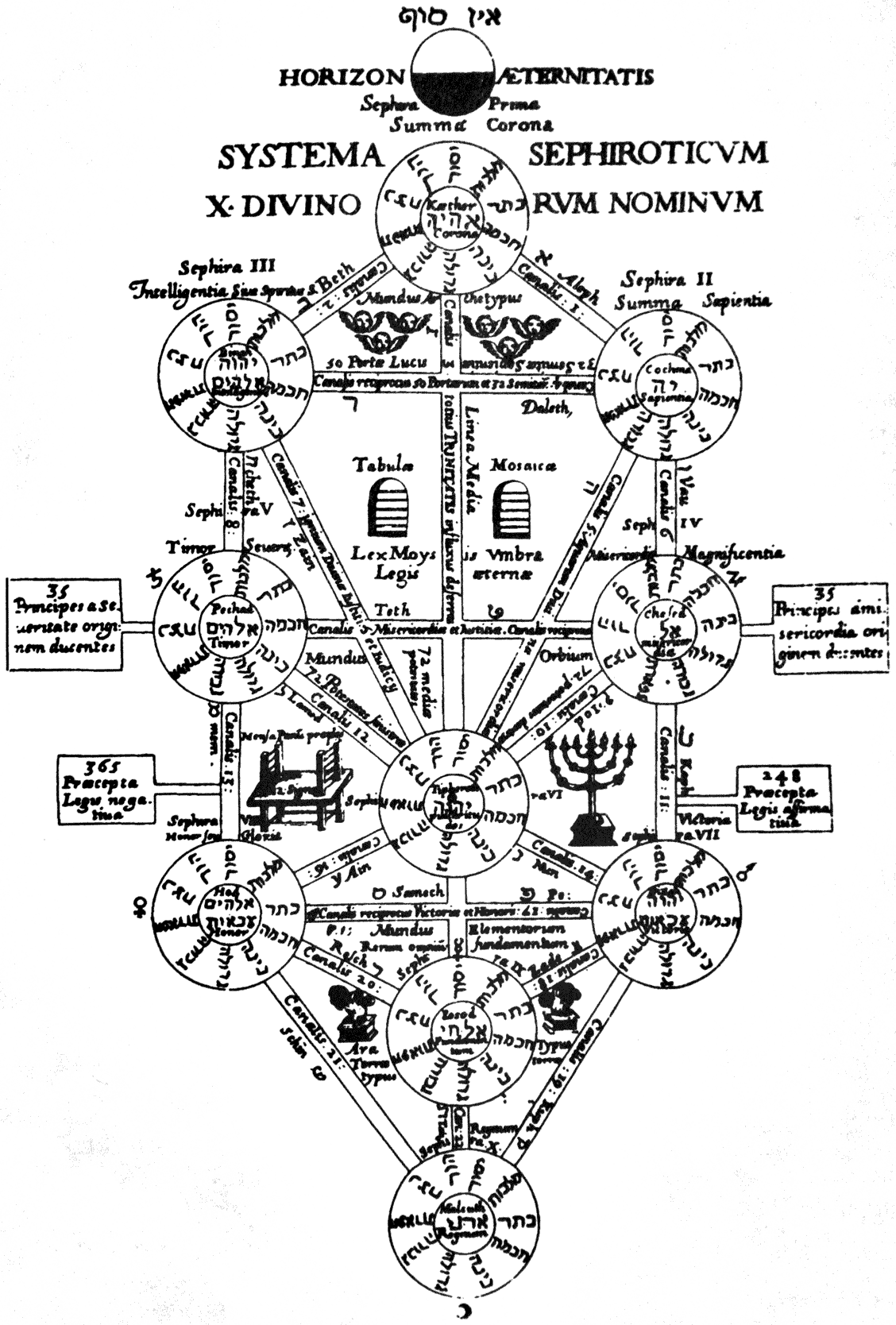Image of Kircher Tree Of Life