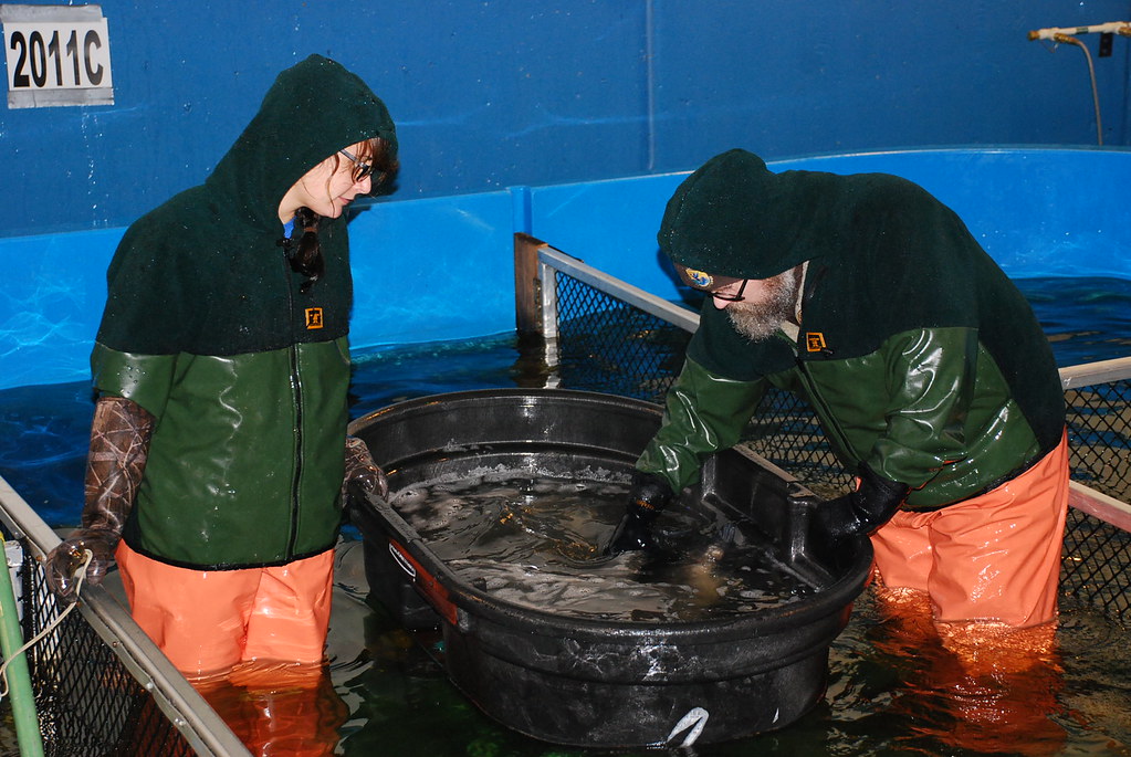 Image of Pacific Fishery Biologists