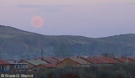 Image of Human And Ecological Communities Of Inner Mongolia, China: A System In Stress