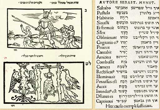 Image of Early Hebrew Lexicography